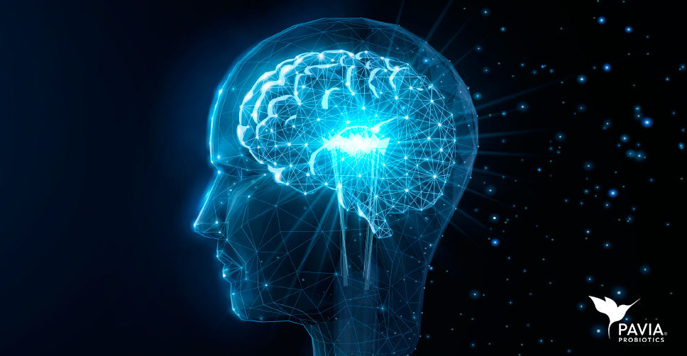 Could probiotic supplementation improve cognitive function?