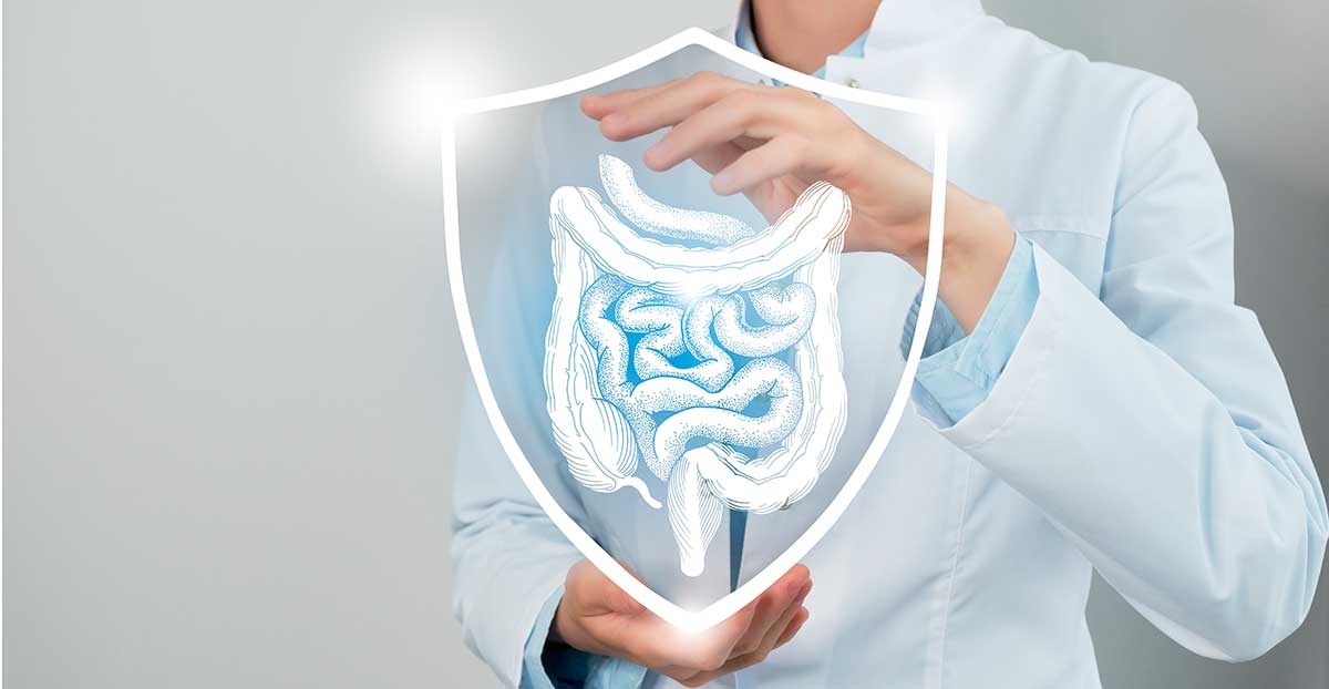 How Probiotics Can Strengthen Your Immune System