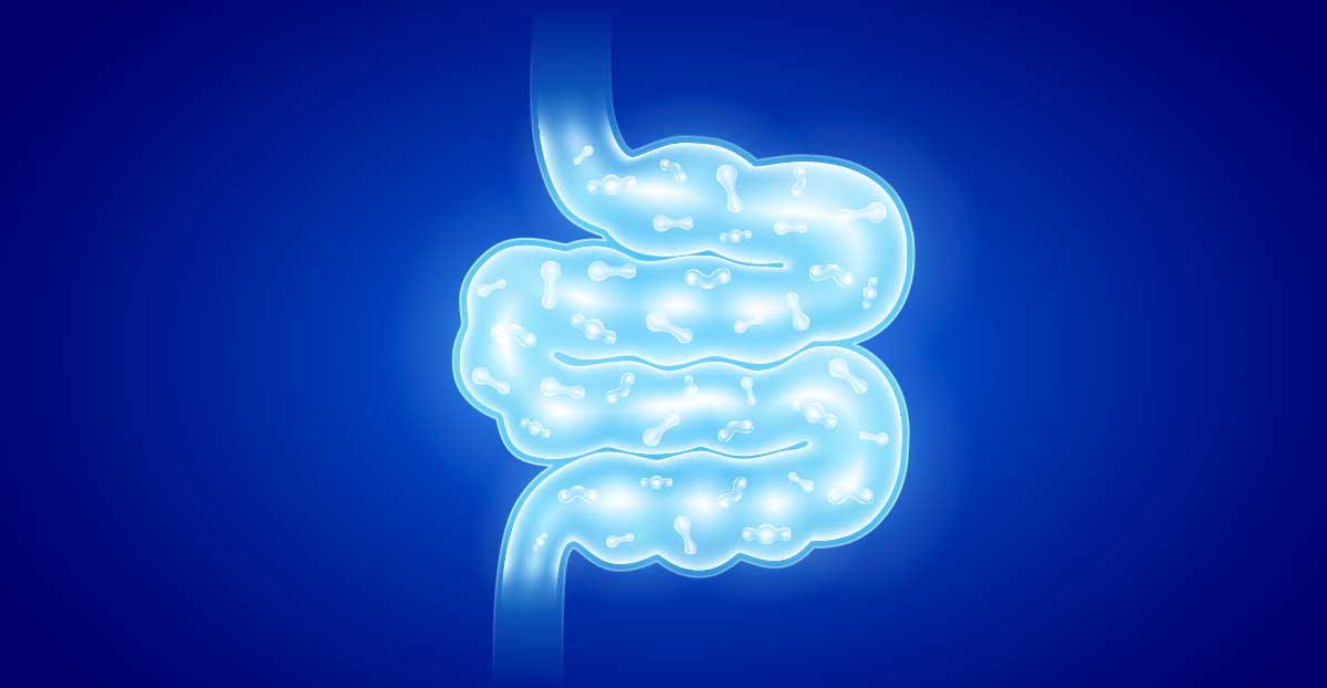 Probiotics vs. Antibiotics: The Importance of Restoring Intestinal Flora