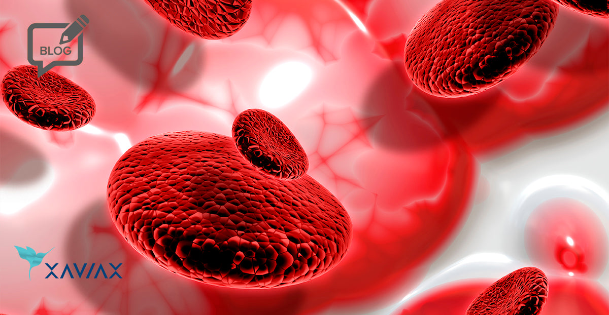 The Relationship between Digestive Health and Anemia: The Role of Probiotics