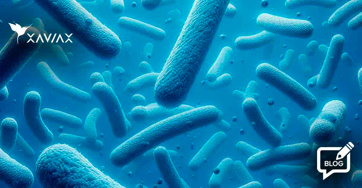 Probiotics in 90 Minutes Can Change Your Well-Being?