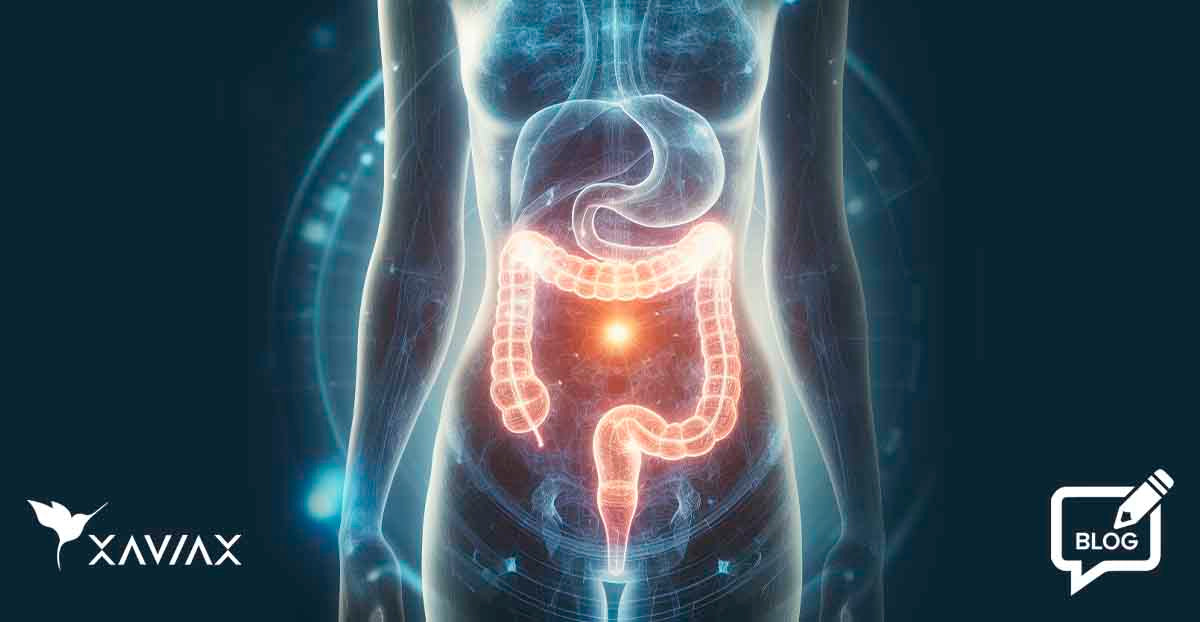 Live probiotic cultures and gastrointestinal tract